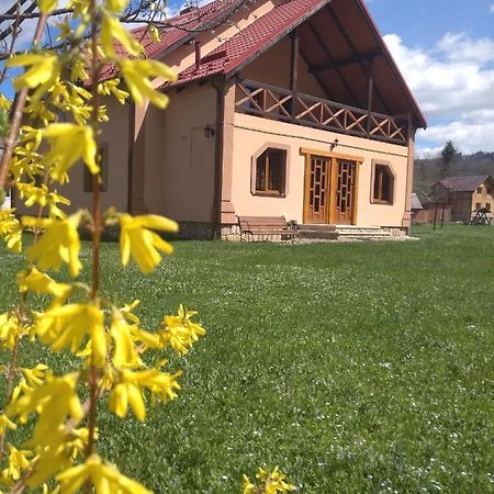Затишок В Карпатах Villa Jaremtsje Buitenkant foto