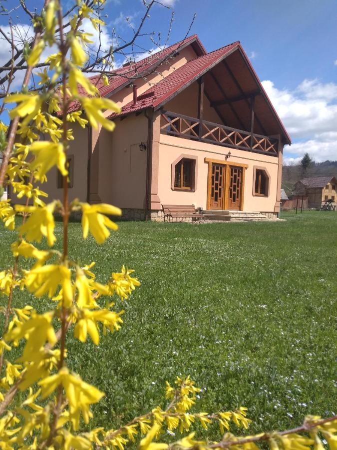 Затишок В Карпатах Villa Jaremtsje Buitenkant foto