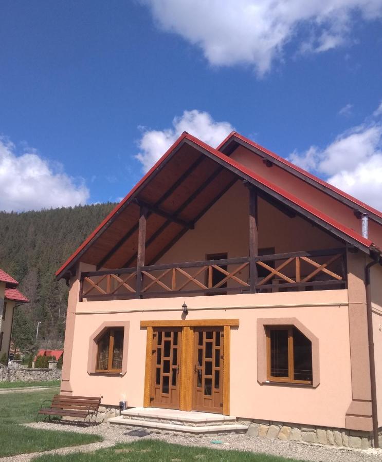 Затишок В Карпатах Villa Jaremtsje Buitenkant foto