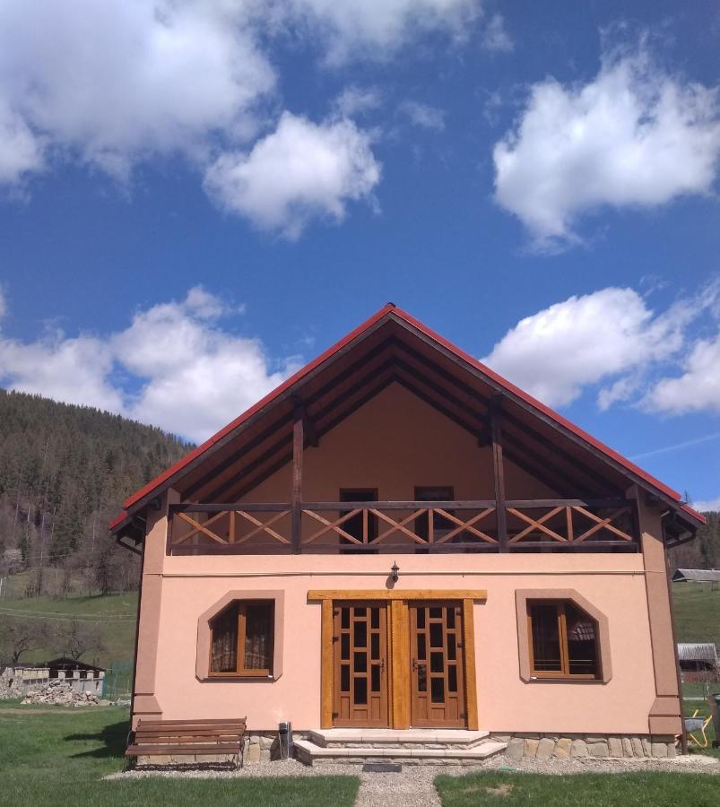 Затишок В Карпатах Villa Jaremtsje Buitenkant foto