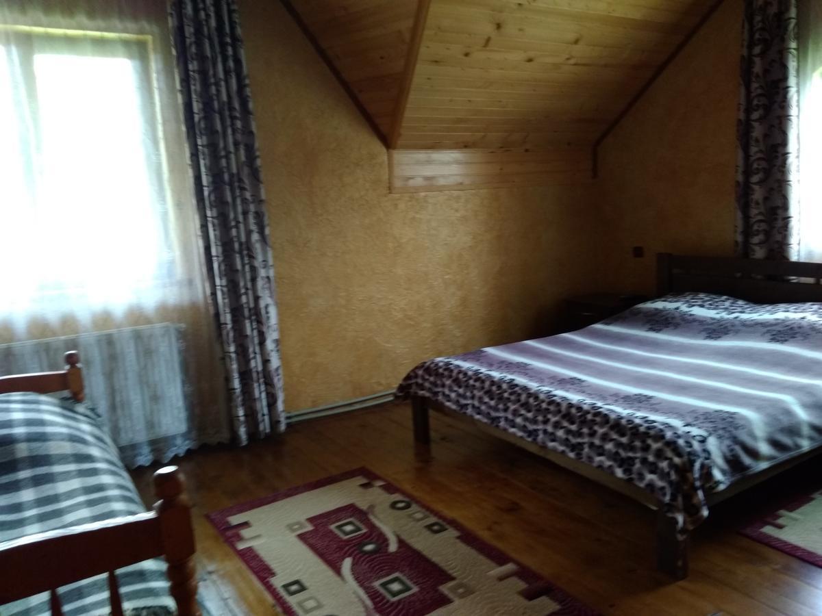 Затишок В Карпатах Villa Jaremtsje Buitenkant foto